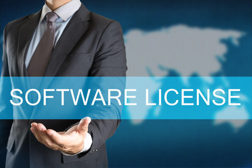 Business Software Piracy Business Software Piracy
